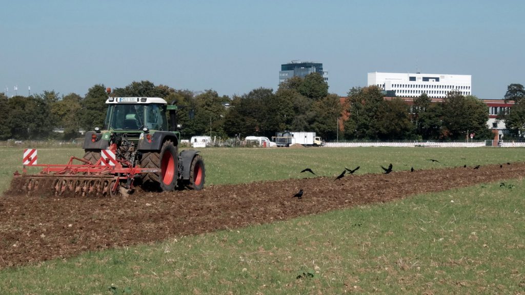 Ackerbau im Landschaftspark West