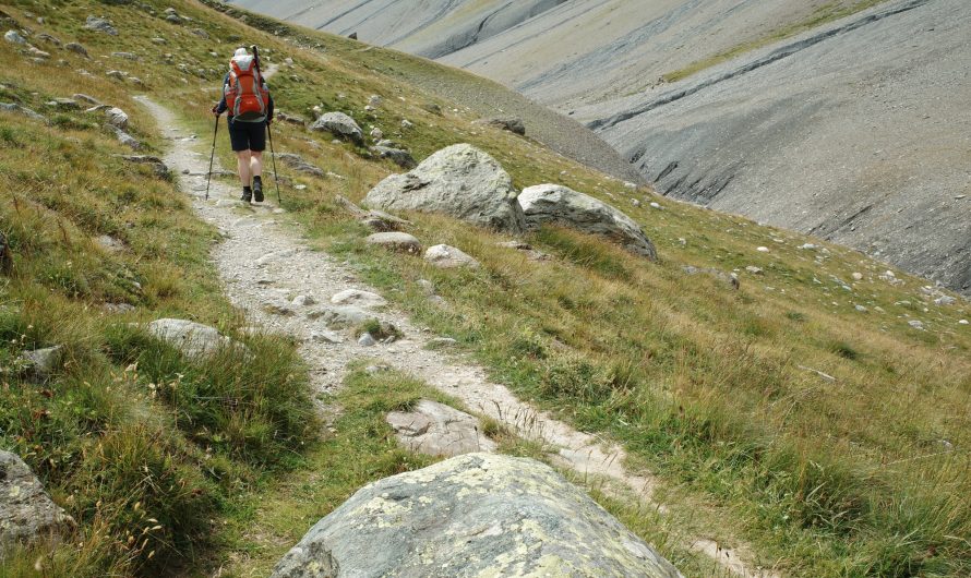 Tignes-le-Lac > Refuge d’Entre Deux Eaux (MT 73)