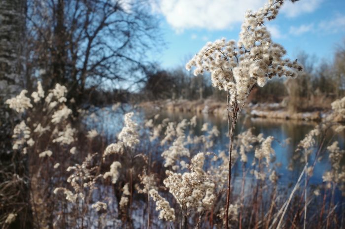 Winterwanderung von Hallbergmoos nach Lohhof