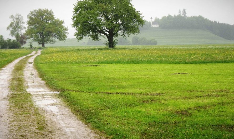 Ascholding > Wackersberg (MT 02)