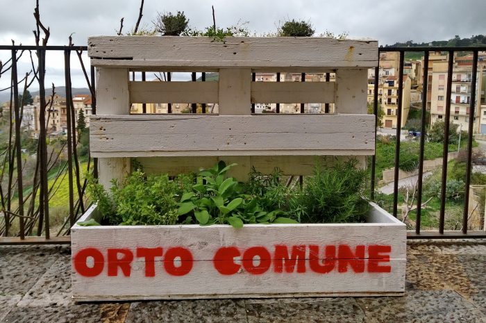 Orto comune