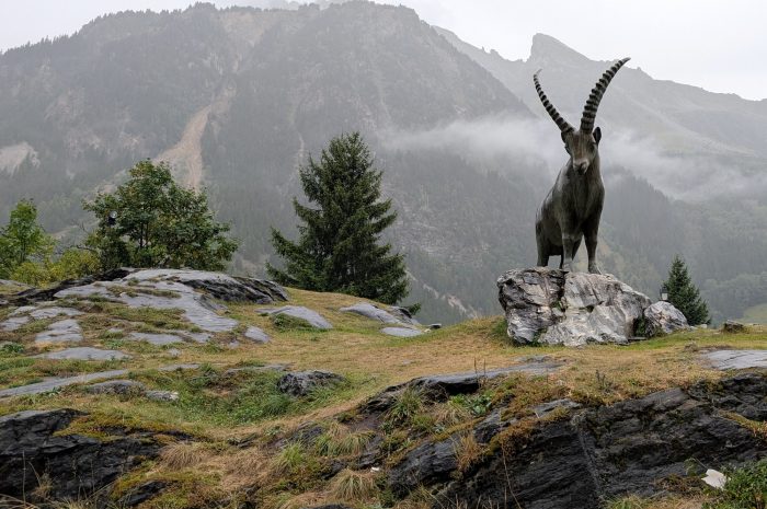 Regentag in Pralognan-la-Vanoise