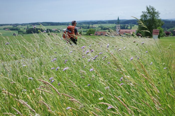 DeTour 2026: BarockBierBlumenBerge
