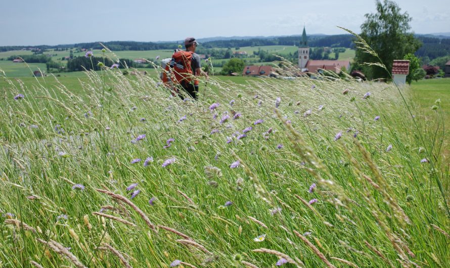 DeTour 2026: BarockBierBlumenBerge